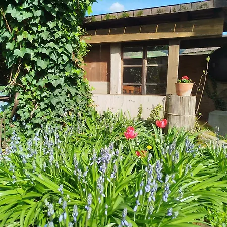 Schwarzwald-lodge - Hundefreundlich 公寓