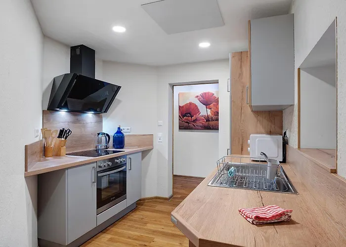 Schwarzwald-lodge - Hundefreundlich Lägenhet